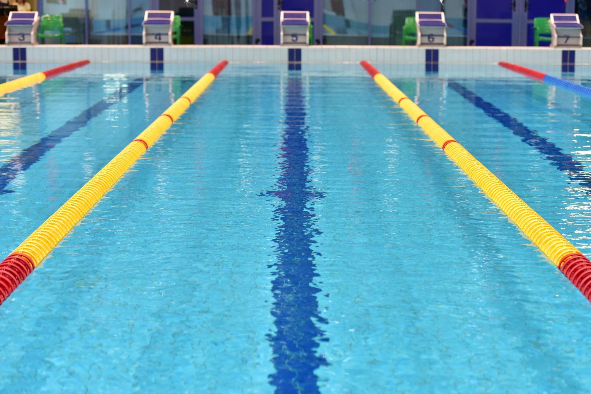 Swimming pool with lane dividers